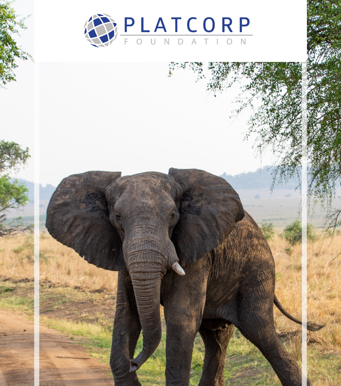 Platcorp Foundation Q1 2025 Project